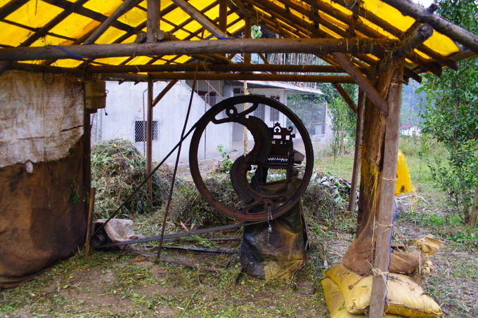 Chopping machine for natural herbs: After being chopped, herbs are sent to the water bath for further decomposition and extraction. 
