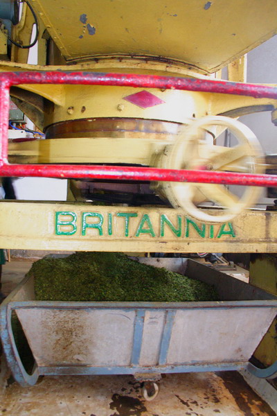 Britannia is a very traditional brand of UK.
