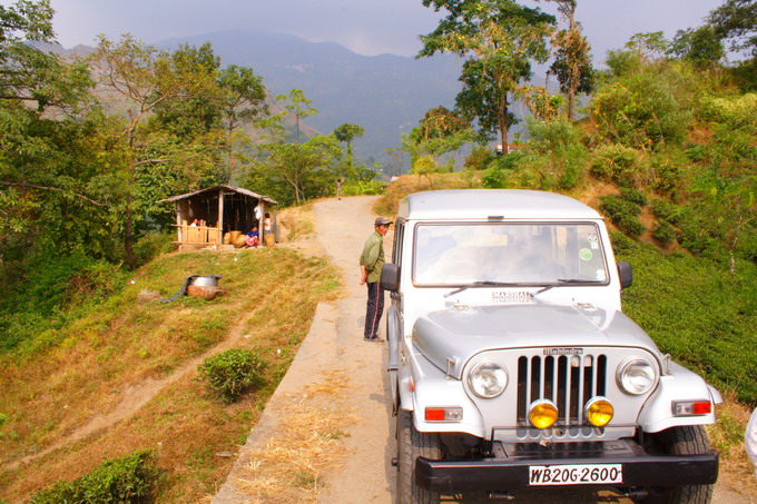 The road condition is very bad and therefore 4WD is usually used for moving around the garden when we visited Darjeeling