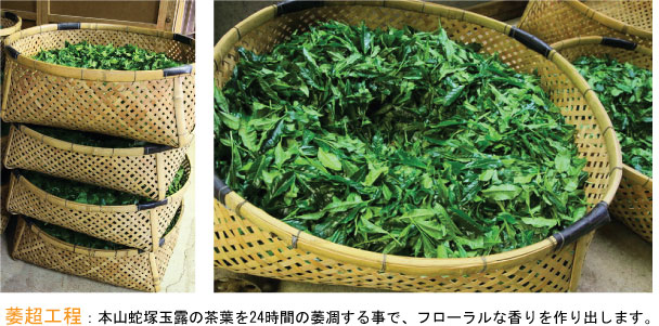 茶葉の量