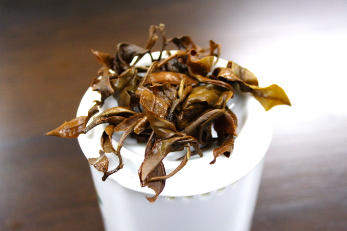 The leaves shown here lies on the professional inspection cup. If the tea leaves are of good quality, the brewed leaves give a strong flavor as well. This is indicating the good material is used.