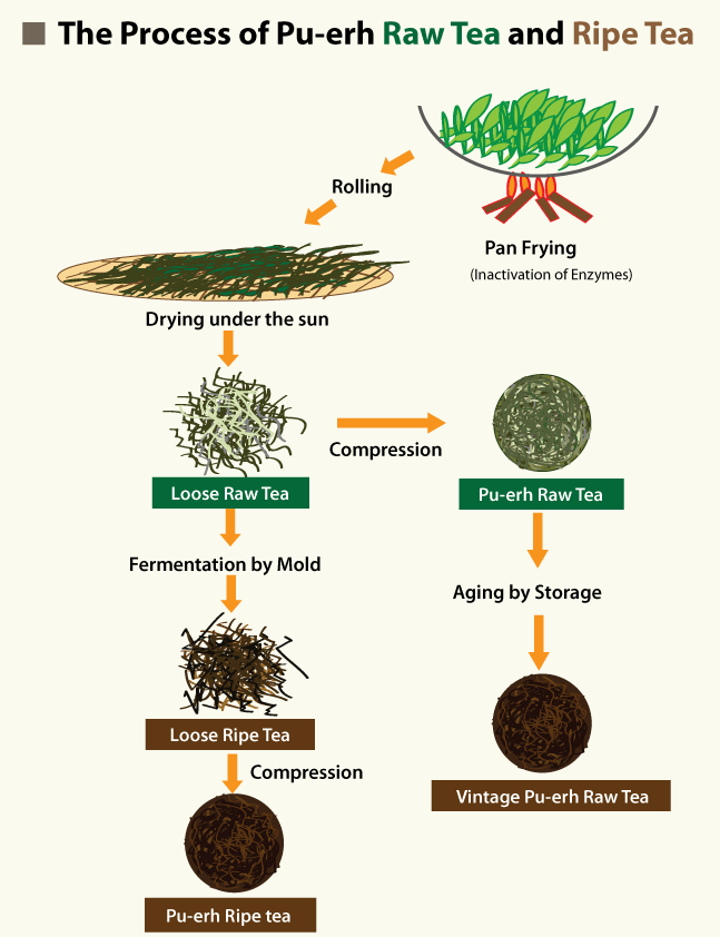 Teas Diagram