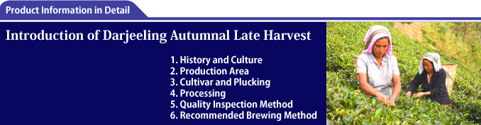Introduction of Darjeeling Autumnal Late Harvest