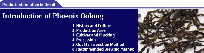 Introduction of Phoenix Oolong 