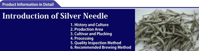Introduction of Silver Needle