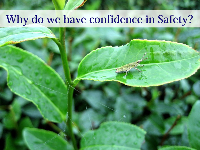 Why do we have confidence in Safety?