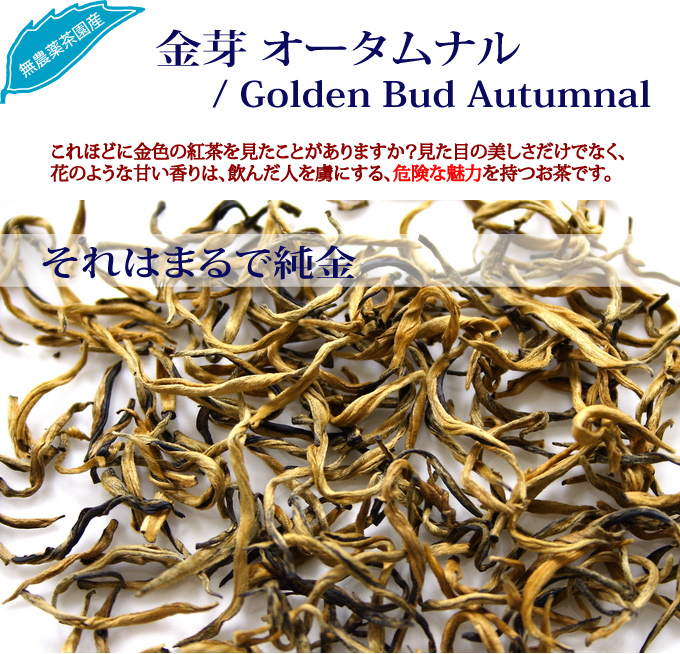 ���� �I�[�^���i�� / Golden Bud Autumnal