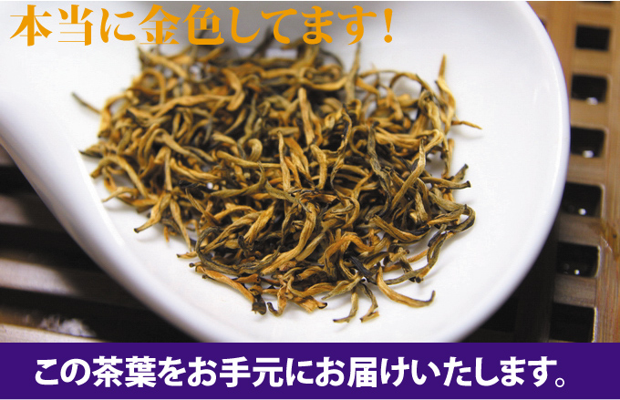 ���̒��t�����茳�ɂ��͂��������܂��B