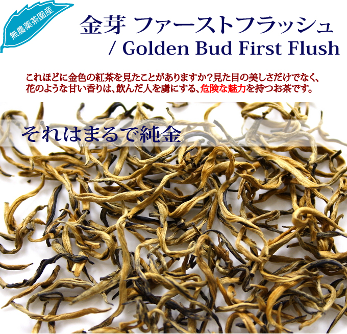 ���� �I�[�^���i�� / Golden Bud Autumnal
