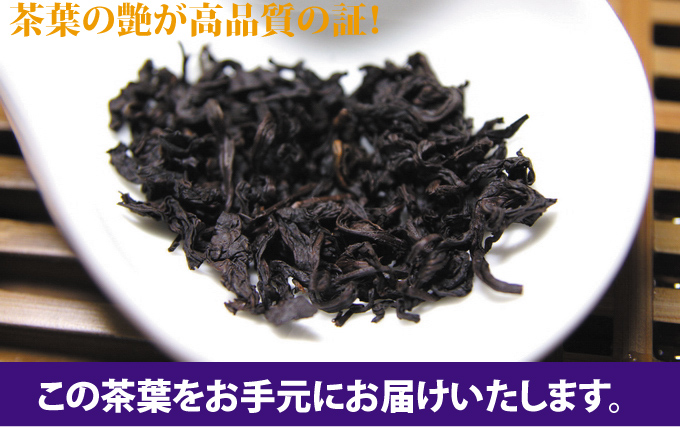 ���̒��t�����茳�ɂ��͂��������܂��B