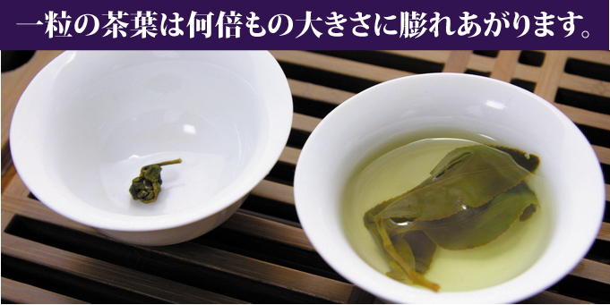 一粒の茶葉は何杯もの大きさにふくれあがります。
