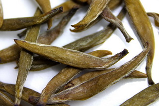 君山銀針の茶葉拡大