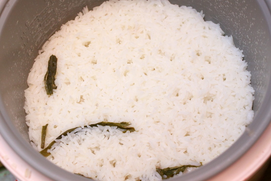 rice 2
