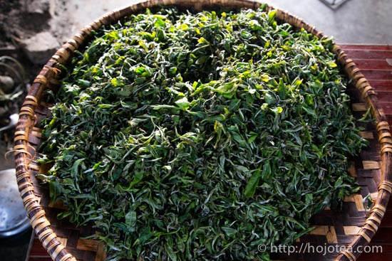 Close-up photo of pan-frying process for making pu-erh tea | HOJO ...