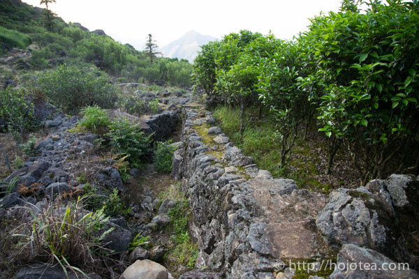 烏崠山の石の道