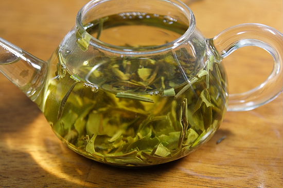 何故ダージリンのファーストフラッシュの茶葉は緑色をしているのか お茶の専門店hojo