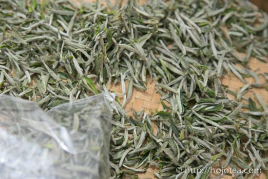 ジャスミンパールの原料緑茶