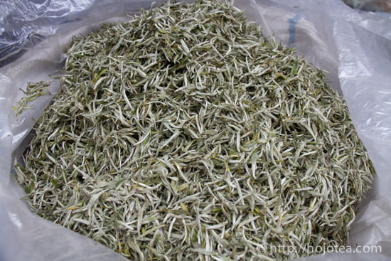 ジャスミンパール用の原料緑茶