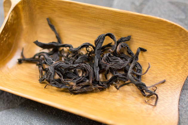 紅玉紅茶の茶摘み風景。紅玉紅茶は大葉種の茶葉から作られます。