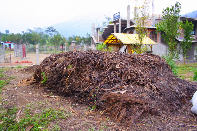 Grasses are well fermented and becomes compos.