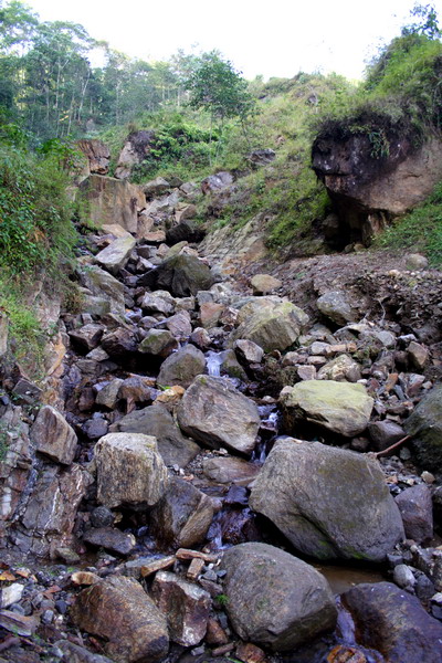 Darjeeling has many valleys where we can find very beautiful rivers. We can directly drink water from the river as it is very clean and uncontaminated.