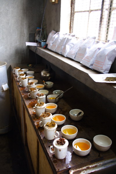 We conducted tasting session at the factory and choose the most suitable lot. Each cup represents a different lot.