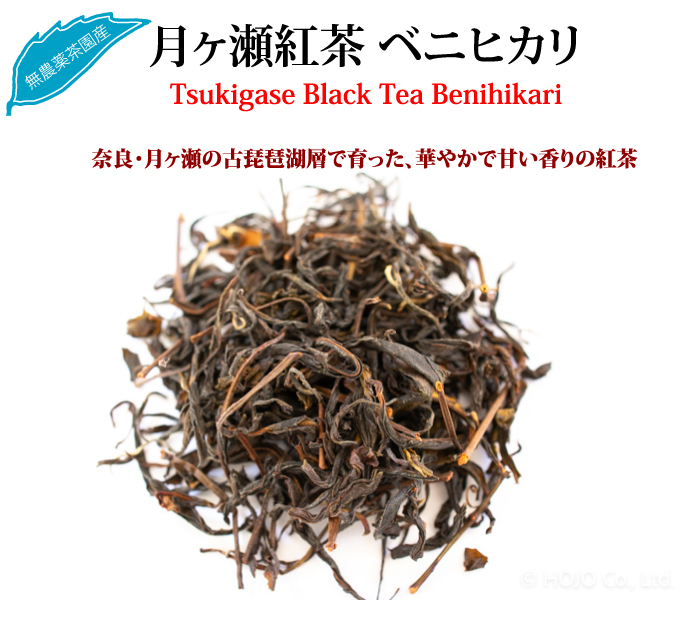 桐木水仙紅茶