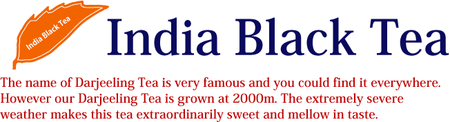 India Black Tea