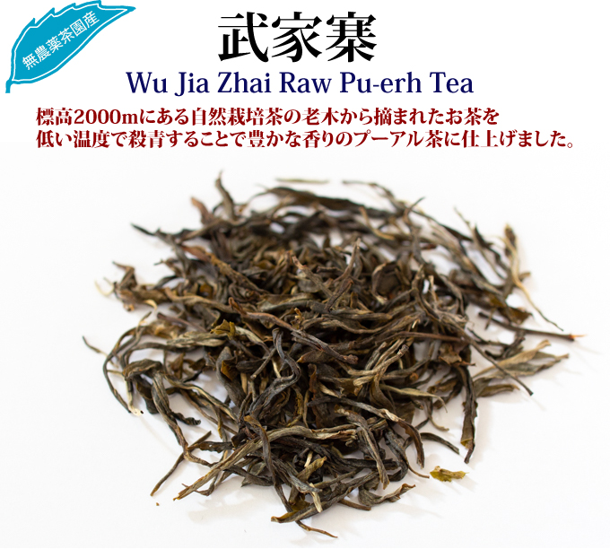 武家寨 プーアル生茶 : お茶の専門店HOJO