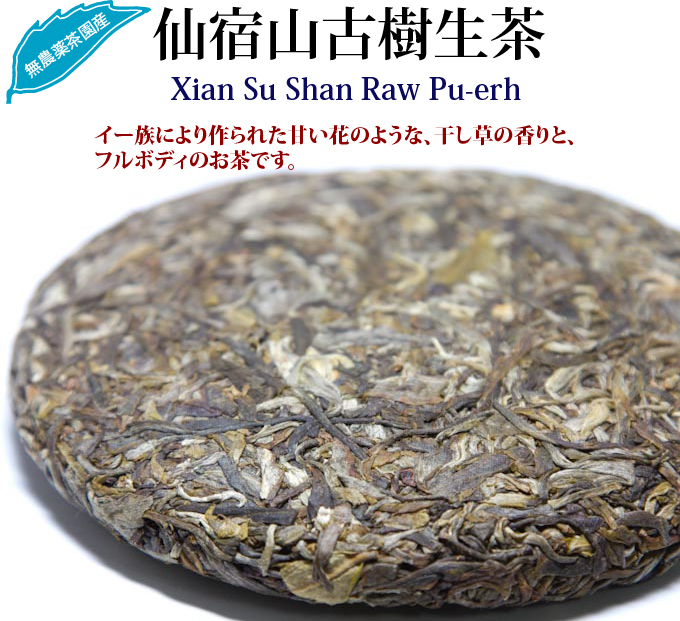 仙宿山古樹生茶 プーアル生茶 : 世界の高級茶ブランドHOJO
