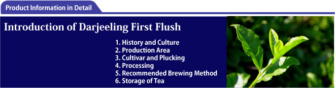 Darjeeling first flush
