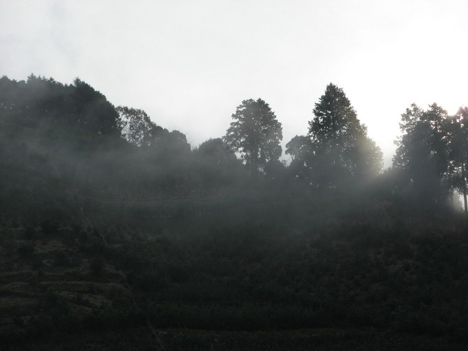 Hon Yama area constantly produces fog.