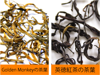Golden Monkeyと英徳紅茶の茶葉比較
