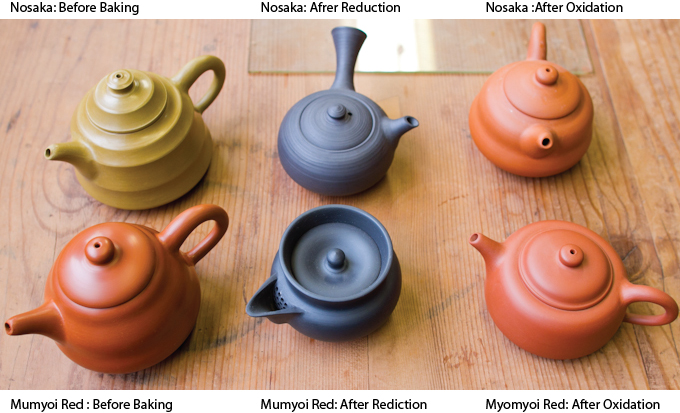 Ceramic Tetsuyu Tea Pot – Moth