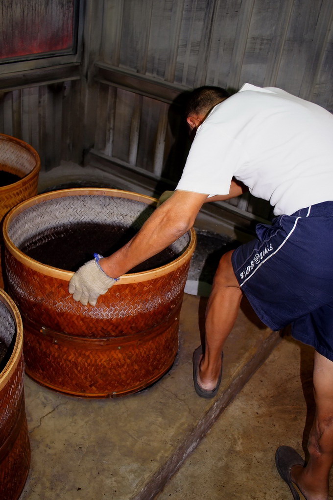 Veteran tea master is processing the vintage tea.