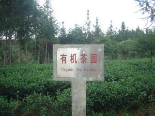 �L�������iOrganic Tea Garden�j