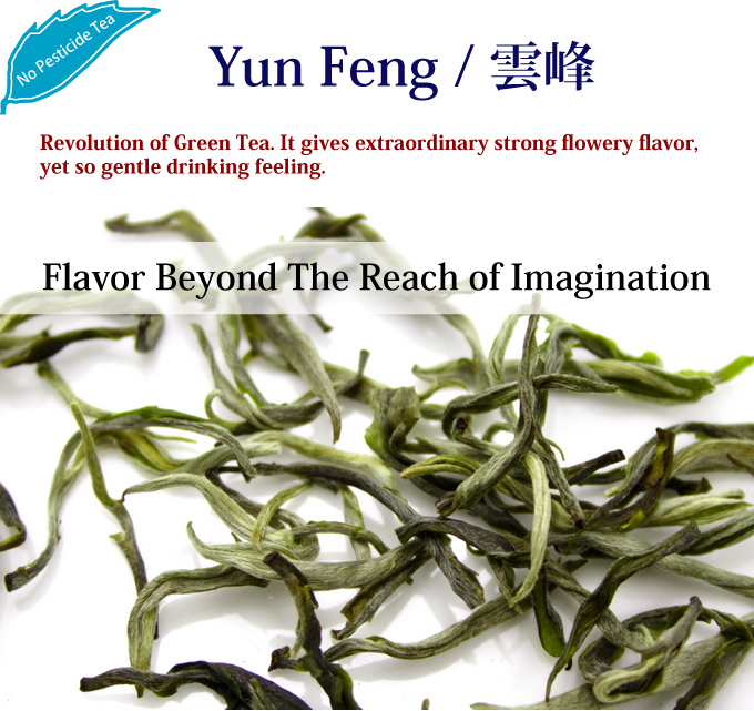 Yun Feng