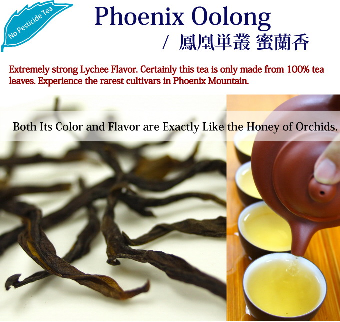 Phoenix Oolong 