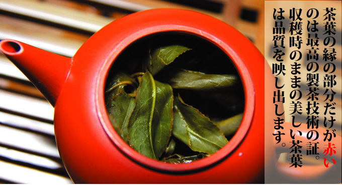 茶葉の縁の部分だけが赤いのは最高の製茶技術の証。収穫時そのままの美しい茶葉は品質を映し出します。