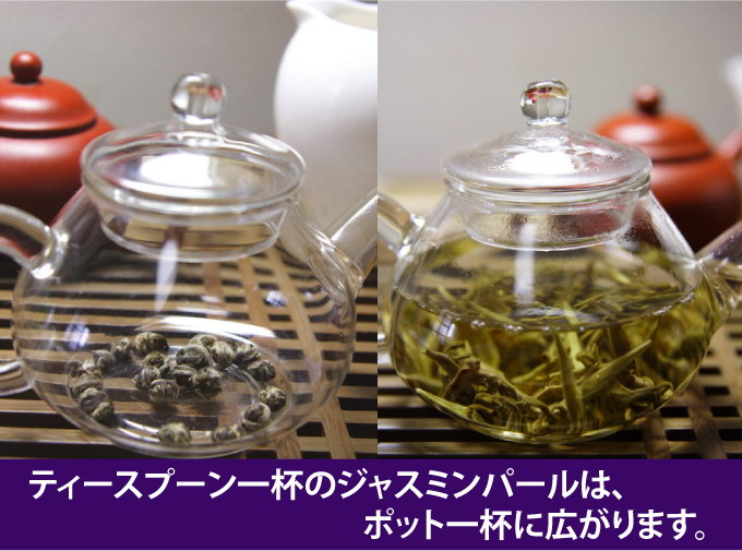 ジャスミン茶（茉莉龍珠）7晩かけてジャスミンの香りを吸わせます。 ：お茶の専門店HOJO