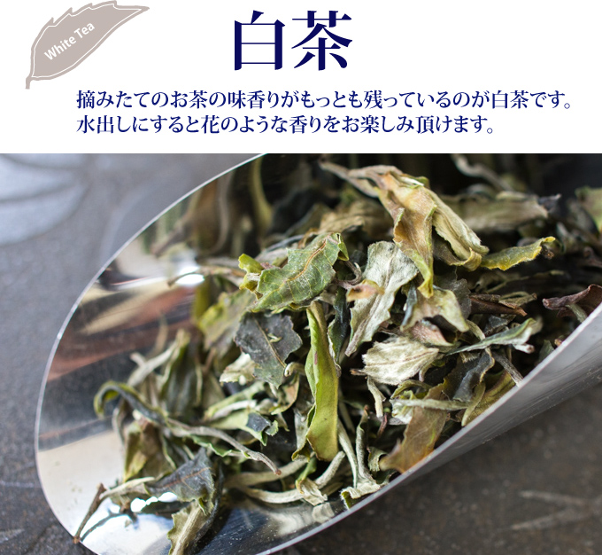 中国の緑茶