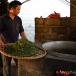 The pan-frying process of raw pu-erh tea