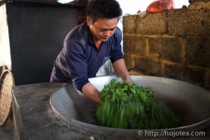 pan-frying process of pu-erh tea