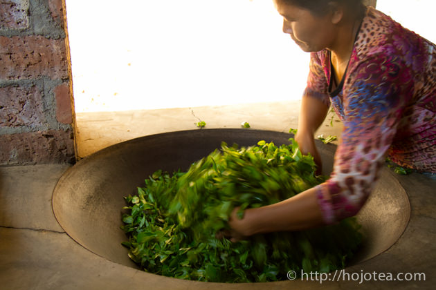 釜炒りとお茶の品質の深い関係 | お茶の専門店HOJO
