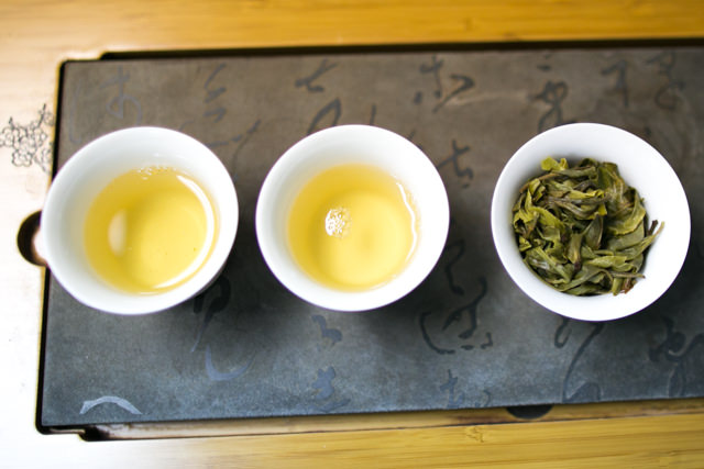 耿馬古樹生茶 プーアル茶 : お茶の専門店HOJO