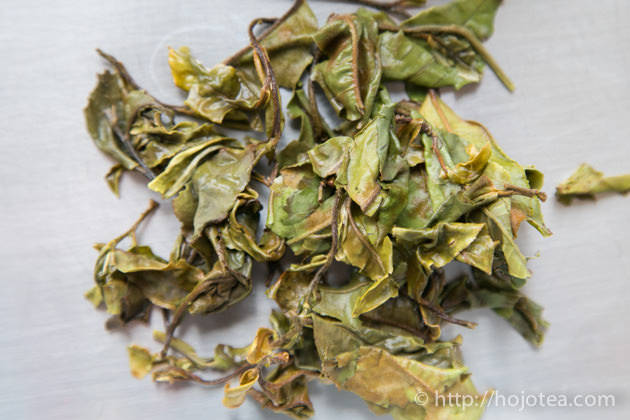雲南省の古樹から作られた馬鞍山古樹白茶