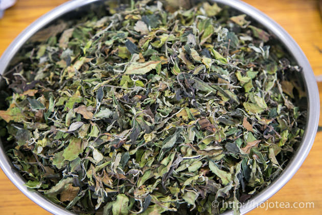 雲南省の古樹から作られた馬鞍山白茶