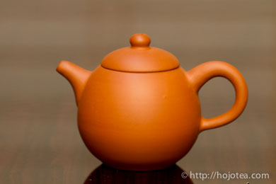 Ceramic Tetsuyu Tea Pot – Moth