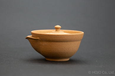 Japanese teapot