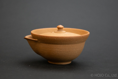Japanese teapot